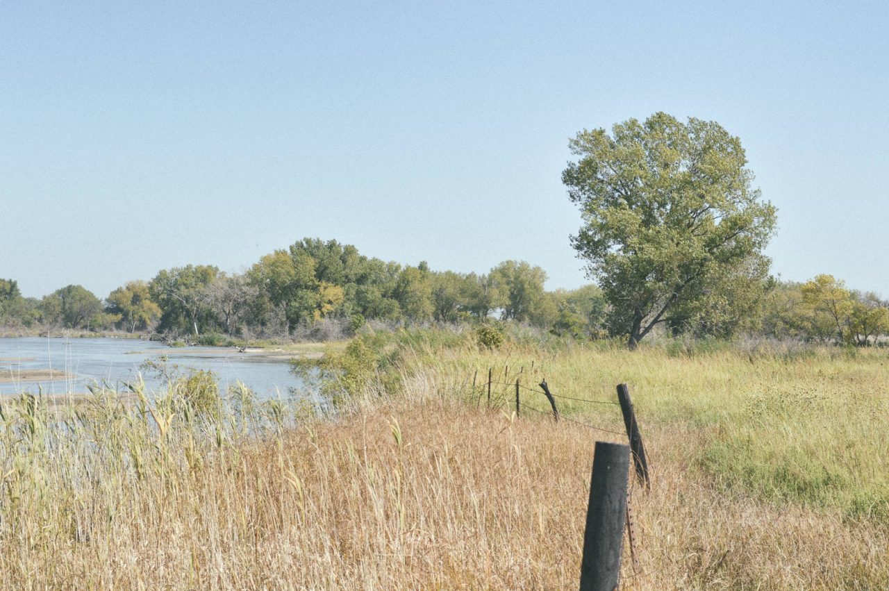 An image of a prairie